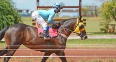 Foto de la galería: Volvió el turf al hipódromo de Posadas