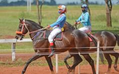 Foto de la galería: Volvió el turf al hipódromo de Posadas