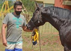 Foto de la galería: Volvió el turf al hipódromo de Posadas