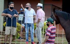 Foto de la galería: Volvió el turf al hipódromo de Posadas