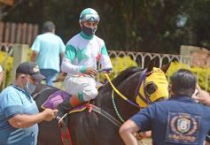Foto de la galería: Volvió el turf al hipódromo de Posadas