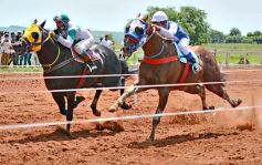 Foto de la galería: Volvió el turf al hipódromo de Posadas