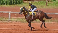 Foto de la galería: Volvió el turf al hipódromo de Posadas