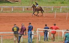 Foto de la galería: Volvió el turf al hipódromo de Posadas