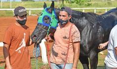 Foto de la galería: Volvió el turf al hipódromo de Posadas