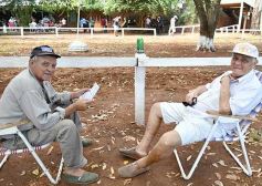 Foto de la galería: Volvió el turf al hipódromo de Posadas