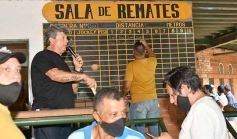 Foto de la galería: Volvió el turf al hipódromo de Posadas