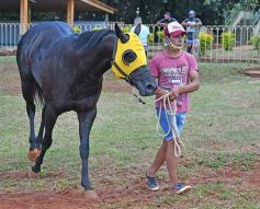 Foto de la galería: Volvió el turf al hipódromo de Posadas