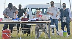 Foto de la galería: Recorrida por Posadas con lo mejor de su gente