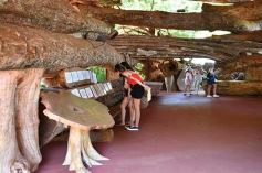 Foto de la galería: Conociendo la Aripuca