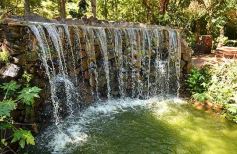 Foto de la galería: Conociendo la Aripuca