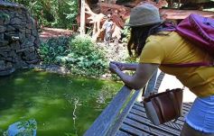 Foto de la galería: Conociendo la Aripuca