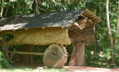 Foto de la galería: Conociendo la Aripuca