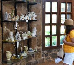 Foto de la galería: Conociendo la Aripuca