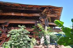 Foto de la galería: Conociendo la Aripuca