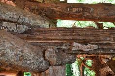 Foto de la galería: Conociendo la Aripuca