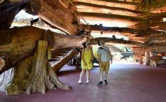 Foto de la galería: Conociendo la Aripuca