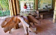 Foto de la galería: Conociendo la Aripuca