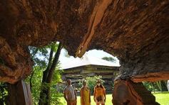 Foto de la galería: Conociendo la Aripuca