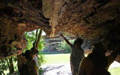 Foto de la galería: Conociendo la Aripuca