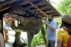 Foto de la galería: Conociendo la Aripuca