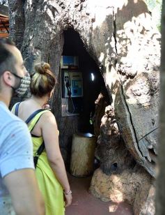 Foto de la galería: Conociendo la Aripuca