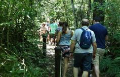Foto de la galería: Güirá Oga, la Casa de los Pájaros