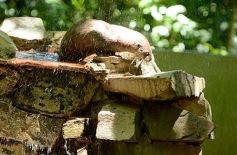 Foto de la galería: Güirá Oga, la Casa de los Pájaros