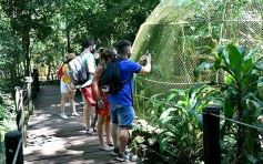 Foto de la galería: Güirá Oga, la Casa de los Pájaros