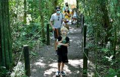 Foto de la galería: Güirá Oga, la Casa de los Pájaros