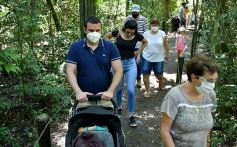 Foto de la galería: Güirá Oga, la Casa de los Pájaros