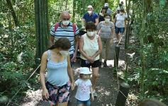 Foto de la galería: Güirá Oga, la Casa de los Pájaros