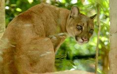 Foto de la galería: Güirá Oga, la Casa de los Pájaros