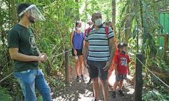 Foto de la galería: Güirá Oga, la Casa de los Pájaros