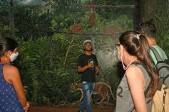 Foto de la galería: Güirá Oga, la Casa de los Pájaros