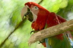 Foto de la galería: Güirá Oga, la Casa de los Pájaros