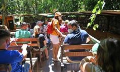 Foto de la galería: Güirá Oga, la Casa de los Pájaros