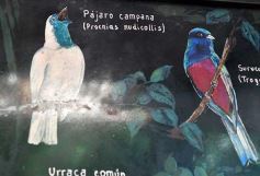 Foto de la galería: Güirá Oga, la Casa de los Pájaros