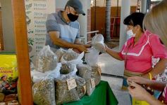 Foto de la galería: Una vuelta por el Mercado Concentrador de Posadas