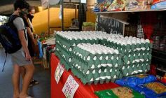 Foto de la galería: Una vuelta por el Mercado Concentrador de Posadas