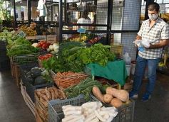 Foto de la galería: Una vuelta por el Mercado Concentrador de Posadas