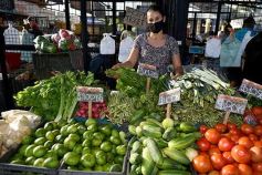 Foto de la galería: Una vuelta por el Mercado Concentrador de Posadas