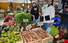 Foto de la galería: Una vuelta por el Mercado Concentrador de Posadas