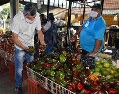 Foto de la galería: Una vuelta por el Mercado Concentrador de Posadas