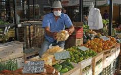 Foto de la galería: Una vuelta por el Mercado Concentrador de Posadas