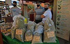 Foto de la galería: Una vuelta por el Mercado Concentrador de Posadas