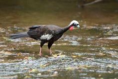 Foto de la galería: Tras los pasos de guardaparques