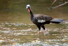 Foto de la galería: Tras los pasos de guardaparques