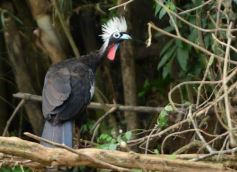 Foto de la galería: Tras los pasos de guardaparques