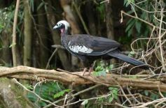 Foto de la galería: Tras los pasos de guardaparques